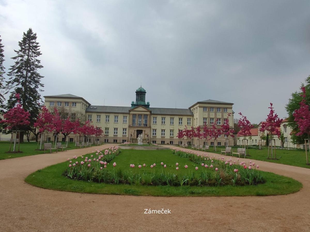 Homestay Подєбради Екстер'єр фото