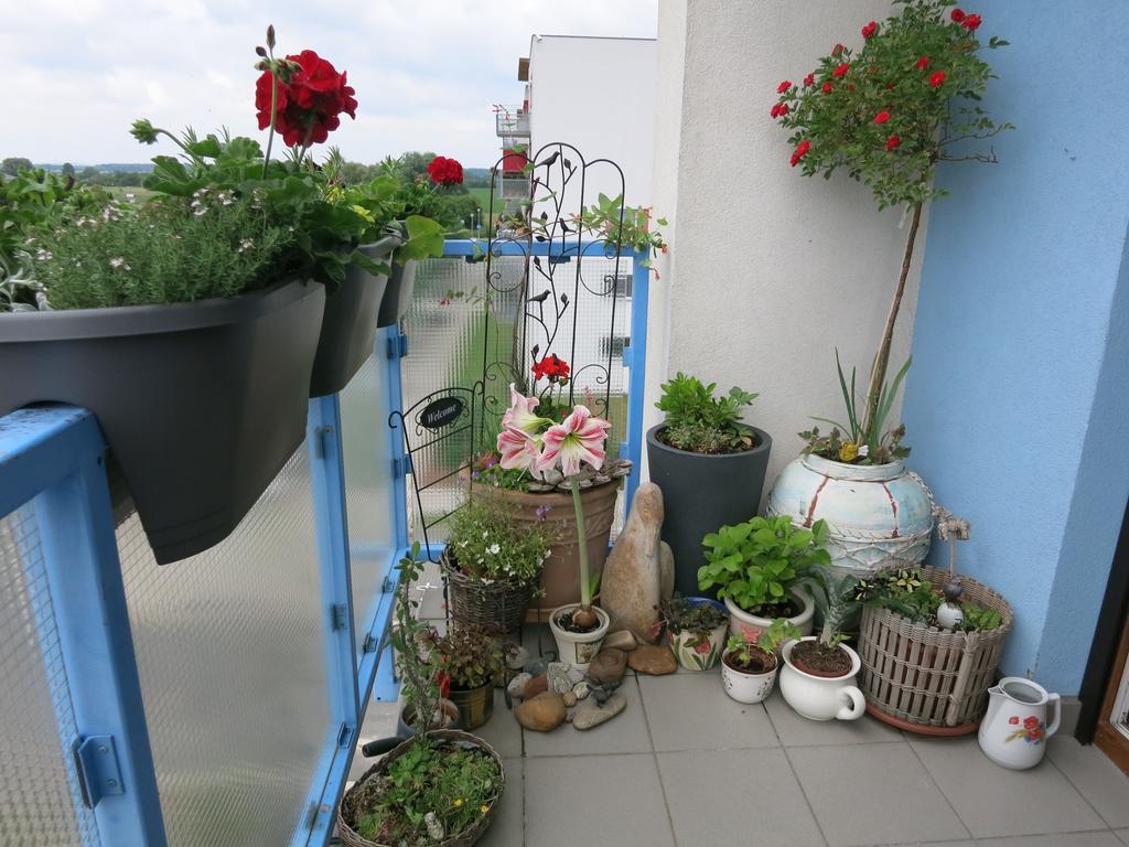Homestay Подєбради Екстер'єр фото